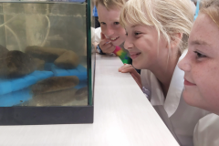 Elizabeth and Charli have a close encounter with some freshwater fish