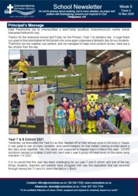 Newsletter Term 4 Week 6