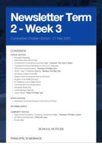 Newsletter Term 2 Week 3