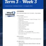 Newsletter Term 3 Week 3