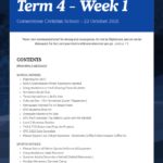Newsletter Term 4 Week 1