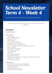 Newsletter Term 4 Week 4