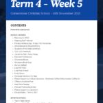 Newsletter Term 4 Week 5