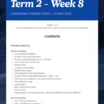 Newsletter Term 2 Week 8