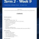 Newsletter Term 2 Week 9