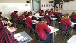 NCEA Exams Begin This Week