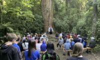 Year 6 Camp at Rangi Woods