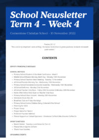 Newsletter Term 4 Week 4