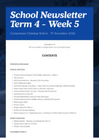 Newsletter Term 4 Week 5