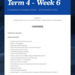 Newsletter Term 4 Week 6