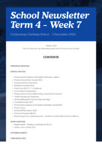 Newsletter Term 4 Week 7