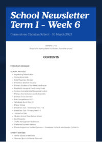 Newsletter Term 1 Week 6