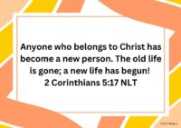 Newsletter – Term 2 Week 3